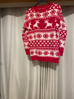 Reindeer jumper